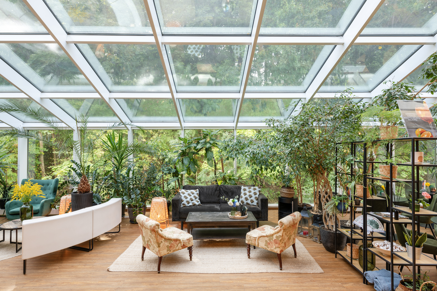 Grozio Sodas Sumazintos 6